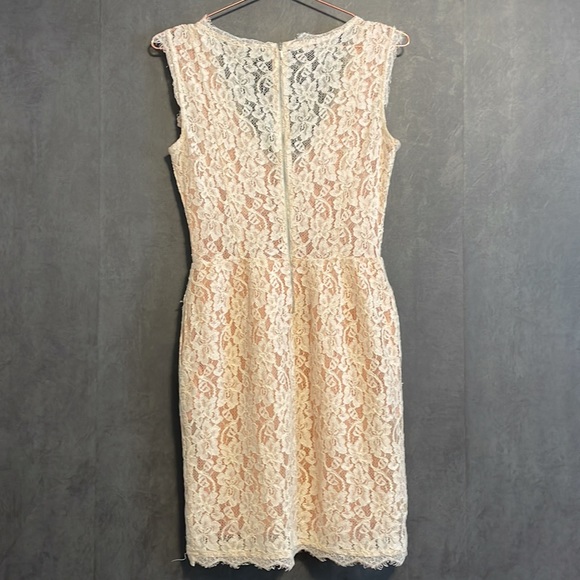Aritzia Babaton Lace Dress - Picture 2 of 6